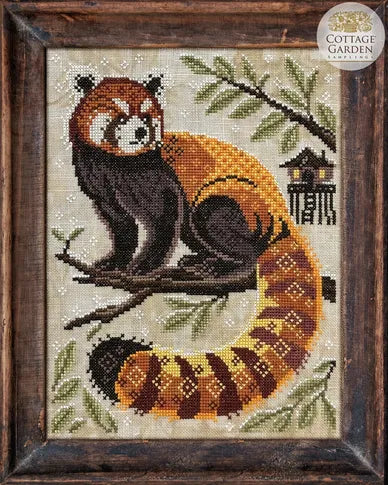 A Year in the Woods II #9 - The Red Panda