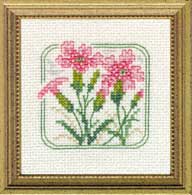 Carolyn's Meadow - Maiden Pink counted cross stitch kit