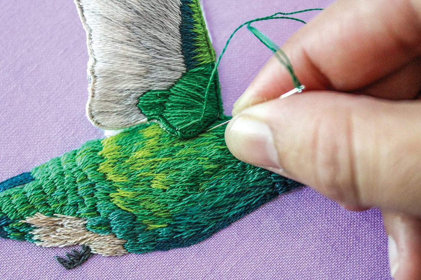 Stumpwork Embroidery & Thread Painting - Stitch 3-D Nature Motifs