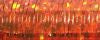 027L Orangeruptis Holographic – Kreinik Fine #8 Braid