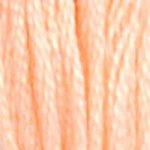 DMC Embroidery Floss - 20 Shrimp