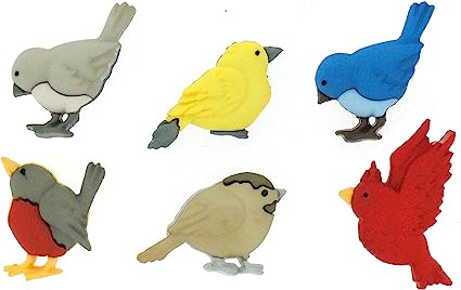 Feathered Friends button collection