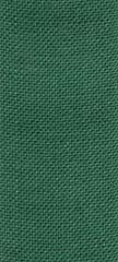 Simplicity Stitchband - Green 27 ct - 1.6" wide