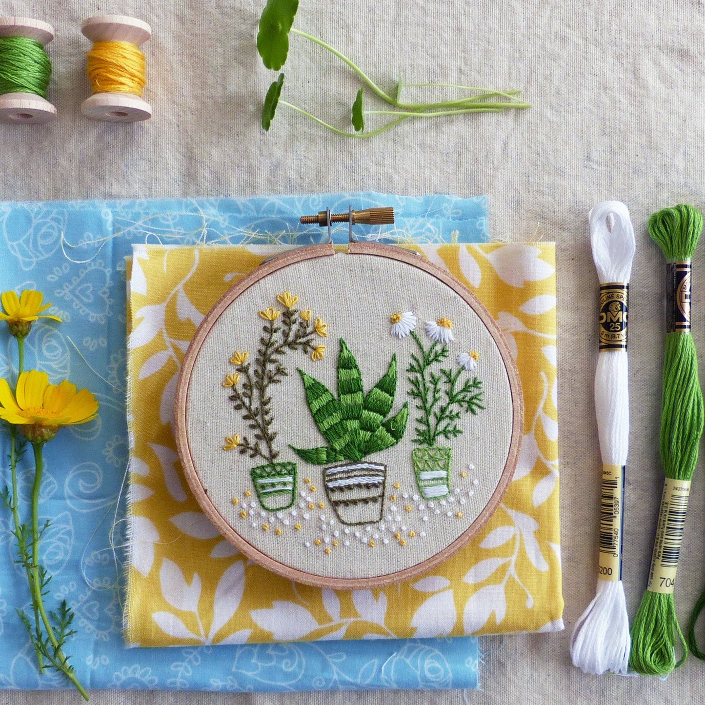 House Plants embroidery kit