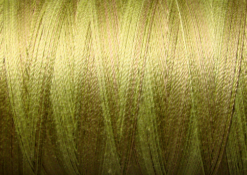 JP8 Spring Leaves - Muddy Monet Collection Valdani 35 wt thread