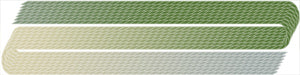304 Olive, Beige & Light Gray – Edmar Ciré