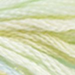 4060 Weeping Willow – DMC Colour Variations Floss