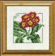 Carolyn's Garden - Auricula counted cross stitch kit