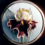 Iris Brazilian embroidery pattern