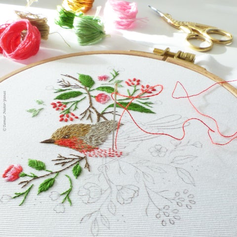 Christmas Robin Bird Embroidery Kit