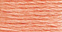 DMC Embroidery Floss - 3824 Light Apricot