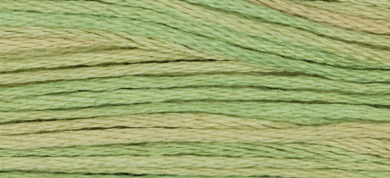 1189 Butter Bean – Weeks Dye Works Floss