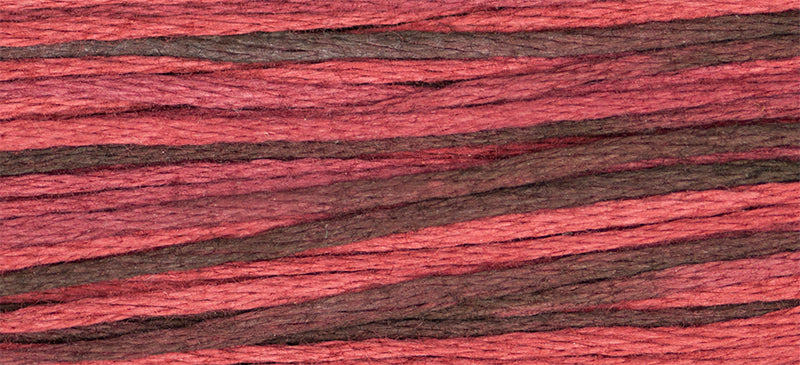 4121 Indian Summer – Weeks Dye Works Floss