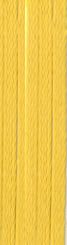 N100 Brassy Gold – Neon Rays Ribbon