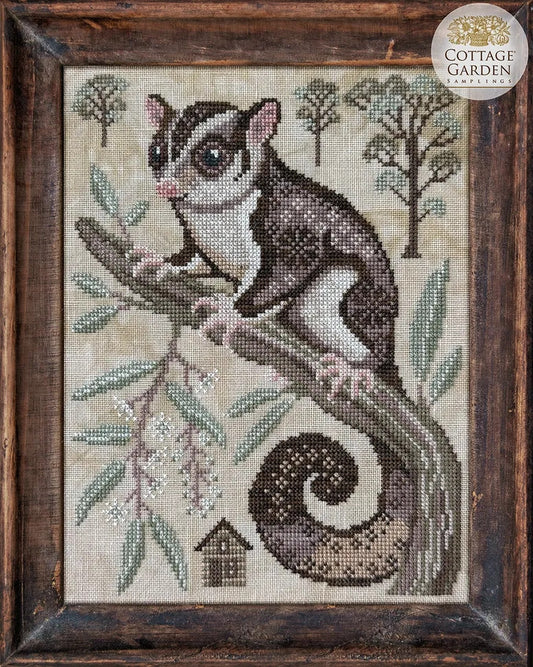 A Year in the Woods II #2 - The Sugar Glider