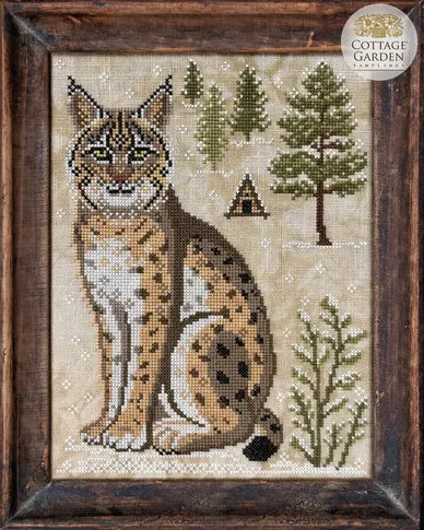 A Year in the Woods II #8 - The Bobcat
