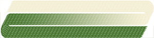 302 Light Beige & Spinach – Edmar Frost
