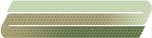 315 Bay Leaf – Edmar Frost