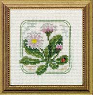 Carolyn's Meadow - English Daisy counted cross stitch kit