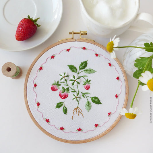 Strawberry Cake embroidery kit