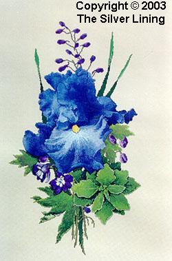 Silver Lining Iris Charts