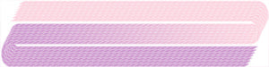017 Pale Pink & Light Plum – Edmar Iris