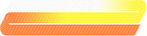 035 Orange, Lemon & White – Edmar Glory