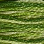 DMC Embroidery Floss - 92 Variegated Green