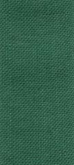 Simplicity Stitchband -  Green 27 ct - 1.6" wide