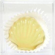 Beeswax - Shell (white wax)