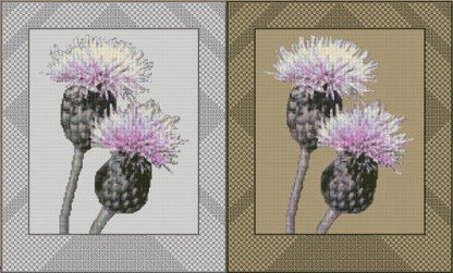 Thistles in Bloom counted cross stitch chart