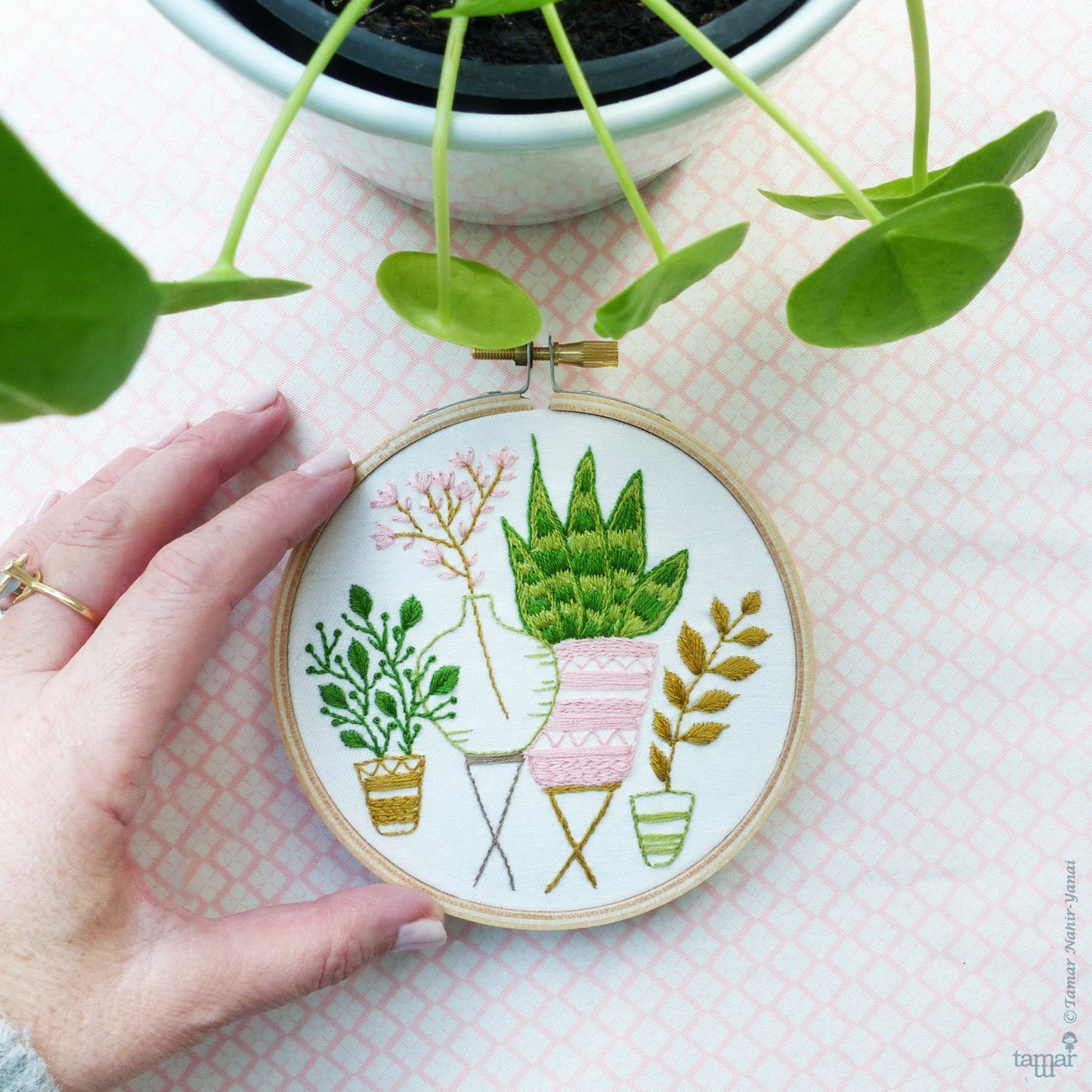 Pink & Green Houseplants Embroidery Kit