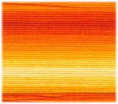 DMC Embroidery Floss - 51 Variegated Orange