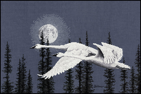 Night Moves counted cross stitch chart