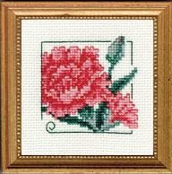 Carolyn's Garden - Carnation counted cross stitch kit