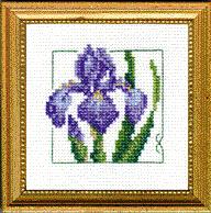 Carolyn's Garden - Iris counted cross stitch kit