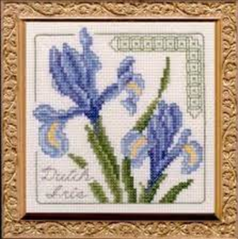 Dutch Iris Floral Elegance counted cross stitch kit