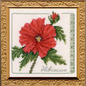 Hibiscus Floral Elegance counted cross stitch kit