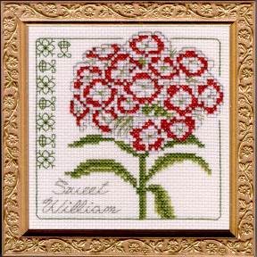 Sweet William Floral Elegance counted cross stitch kit