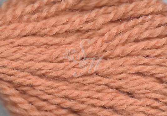 884 – Paternayan Persian wool