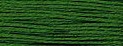 S836 Dark Forest Green Splendor Silk Floss