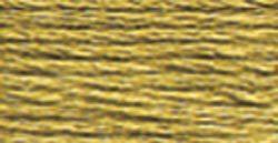 DMC Embroidery Floss - 371 Mustard