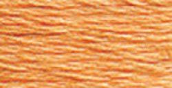 DMC Embroidery Floss - 3825 Pale Pumpkin