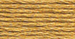 DMC Embroidery Floss - 3828 Hazelnut Brown