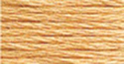 DMC Embroidery Floss - 3856 Ultra Very Light Mahogany