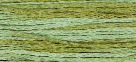1191 Dried Sage – Weeks Dye Works Floss
