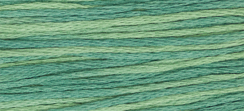 2166 Bayberry Green – Weeks Dye Works Floss