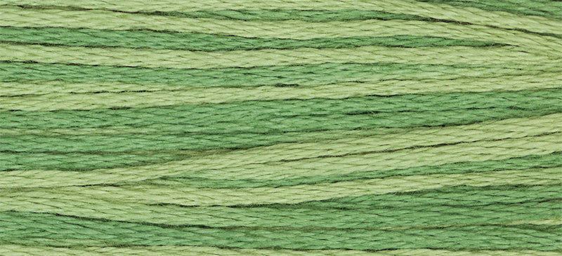 2198 Ivy Green – Weeks Dye Works Floss
