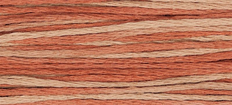 2254 Cinnabar – Weeks Dye Works Floss