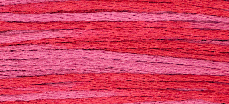 2263 Begonia – Weeks Dye Works Floss